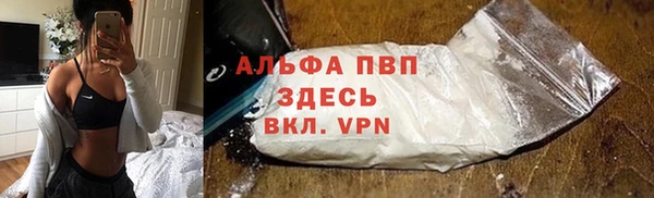 твердый Протвино