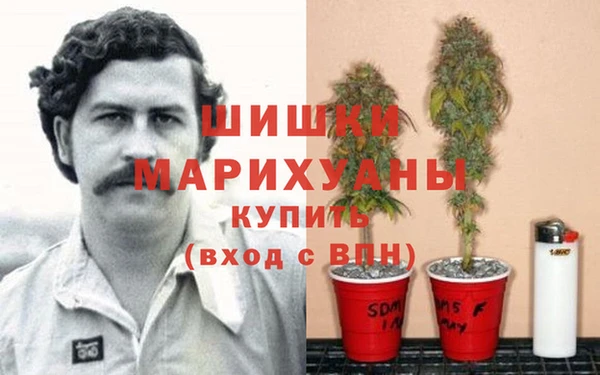 шишки Покров