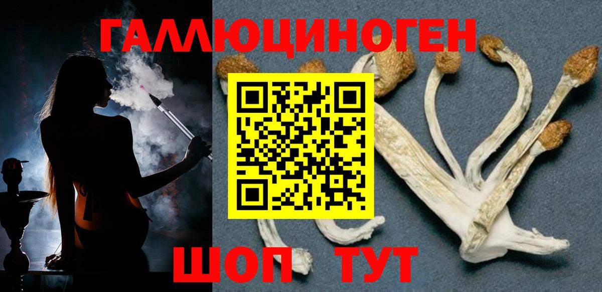 Галлюциногенные грибы Psilocybine cubensis  Галлюциногенные грибы MAGIC MUSHROOMS  Аксай  Вход с VPN 